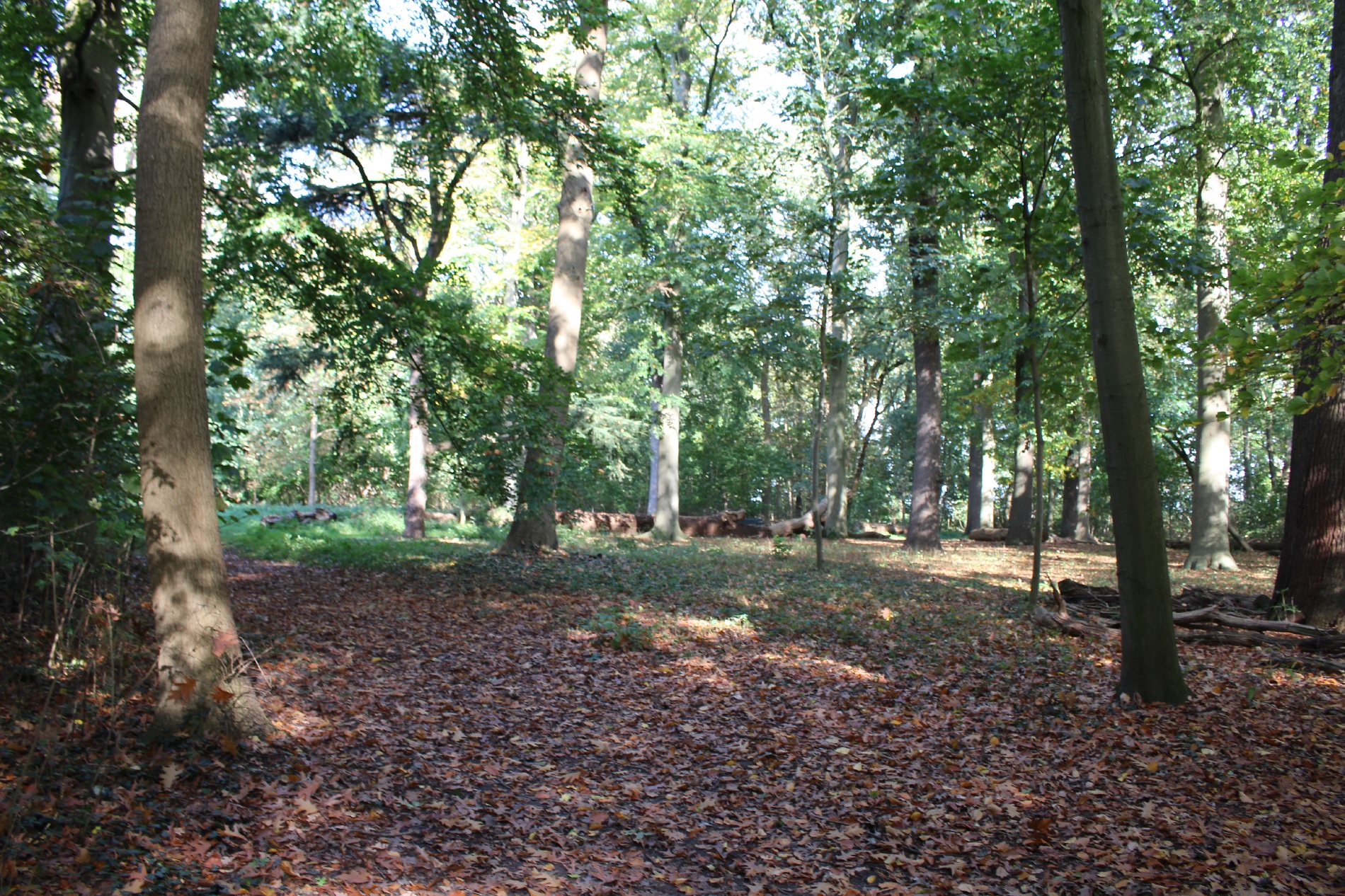 Banner General Days to read Calculator